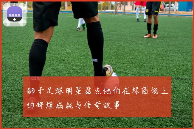 狮子足球明星盘点他们在绿茵场上的辉煌成就与传奇故事