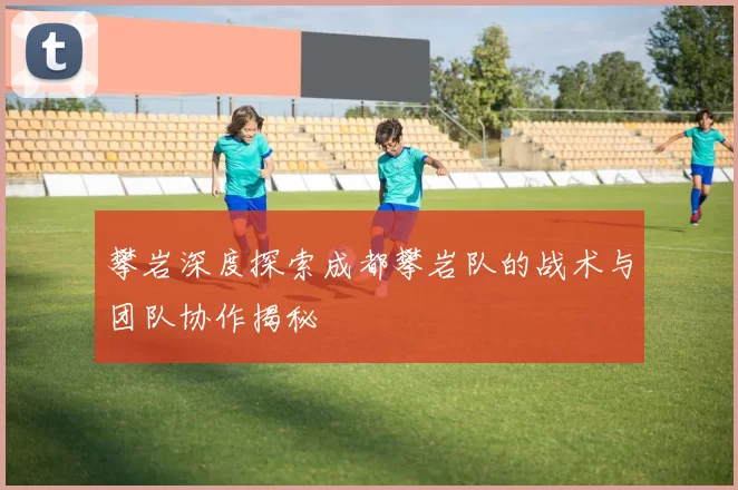 攀岩深度探索成都攀岩队的战术与团队协作揭秘