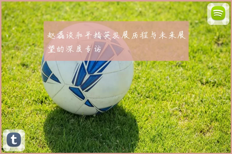 赵磊谈和平精英发展历程与未来展望的深度专访