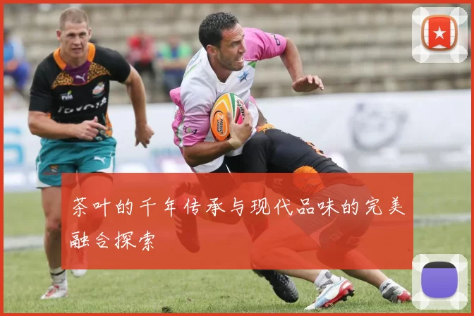 茶叶的千年传承与现代品味的完美融合探索