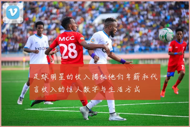 足球明星的收入揭秘他们年薪和代言收入的惊人数字与生活方式