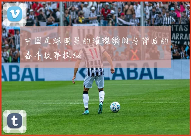 中国足球明星的璀璨瞬间与背后的奋斗故事探秘