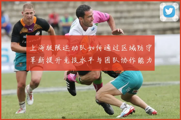 上海极限运动队如何通过区域防守革新提升竞技水平与团队协作能力