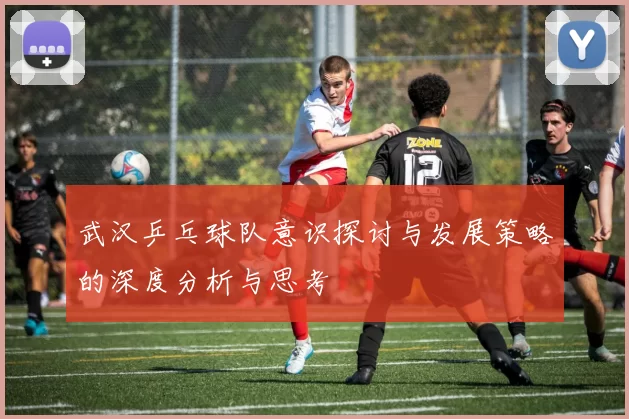 武汉乒乓球队意识探讨与发展策略的深度分析与思考