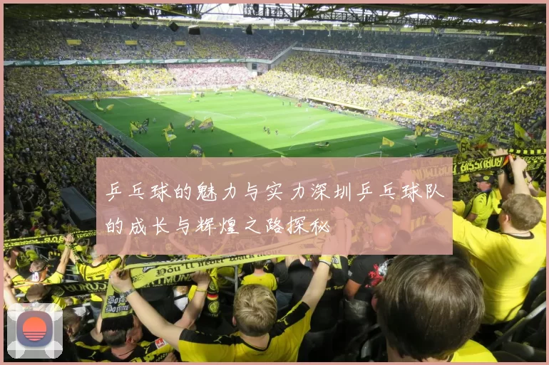 乒乓球的魅力与实力深圳乒乓球队的成长与辉煌之路探秘