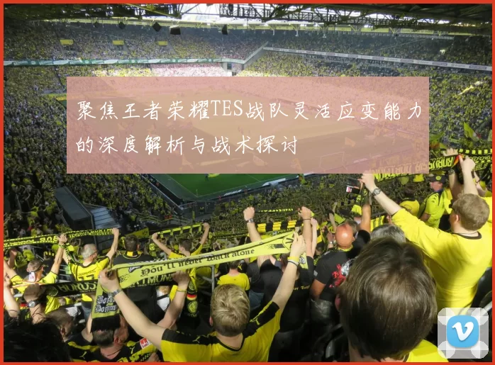 聚焦王者荣耀TES战队灵活应变能力的深度解析与战术探讨