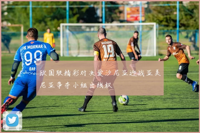 欧国联精彩对决爱沙尼亚迎战亚美尼亚争夺小组出线权