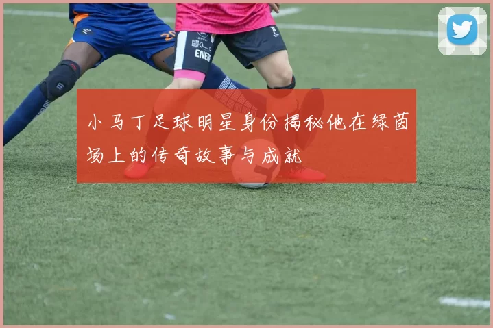 小马丁足球明星身份揭秘他在绿茵场上的传奇故事与成就