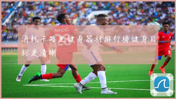 消耗卡路里健身器材排行榜健身目标更清晰