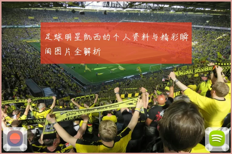 足球明星凯西的个人资料与精彩瞬间图片全解析