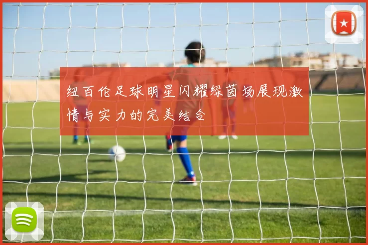 纽百伦足球明星闪耀绿茵场展现激情与实力的完美结合