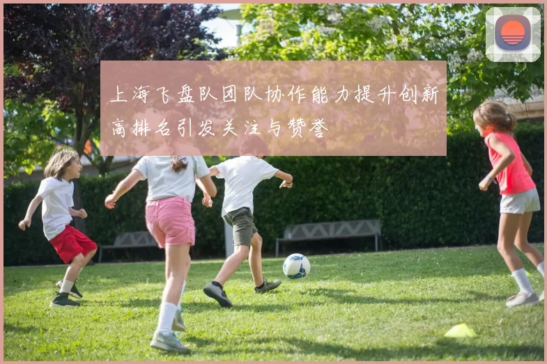 上海飞盘队团队协作能力提升创新高排名引发关注与赞誉