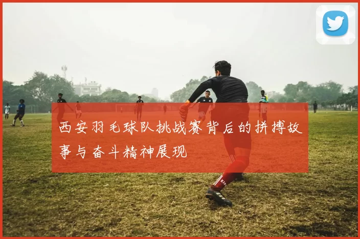 西安羽毛球队挑战赛背后的拼搏故事与奋斗精神展现