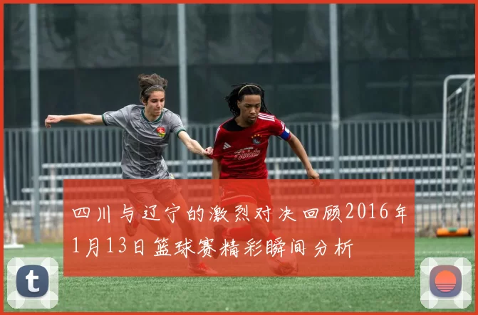 四川与辽宁的激烈对决回顾2016年1月13日篮球赛精彩瞬间分析