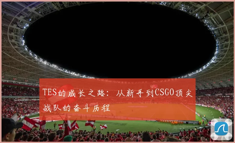 TES的成长之路：从新手到CSGO顶尖战队的奋斗历程