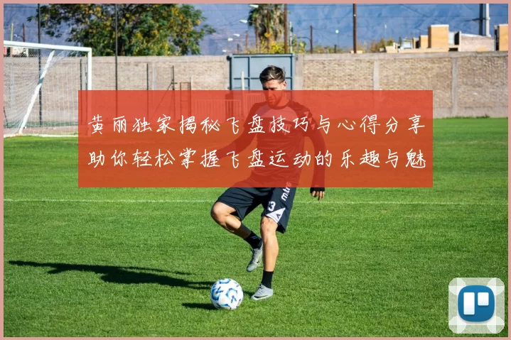 黄丽独家揭秘飞盘技巧与心得分享助你轻松掌握飞盘运动的乐趣与魅力