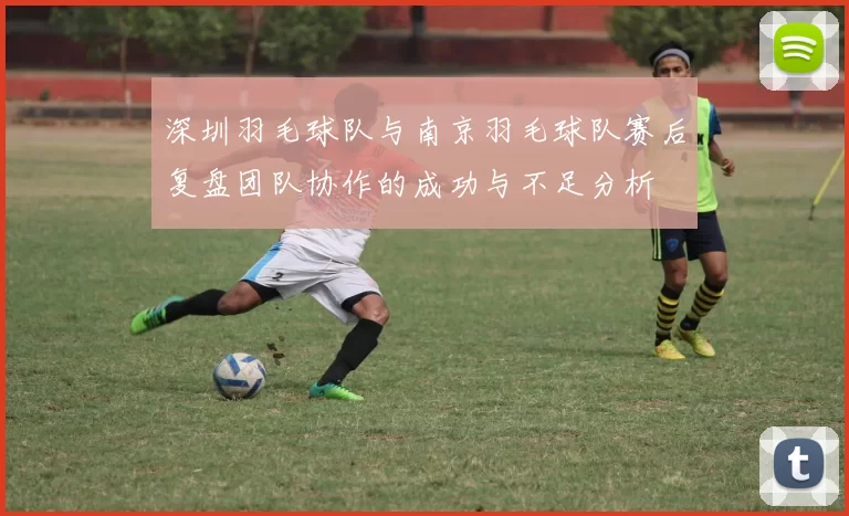 深圳羽毛球队与南京羽毛球队赛后复盘团队协作的成功与不足分析