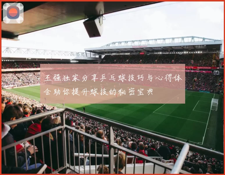 王强独家分享乒乓球技巧与心得体会助你提升球技的秘密宝典