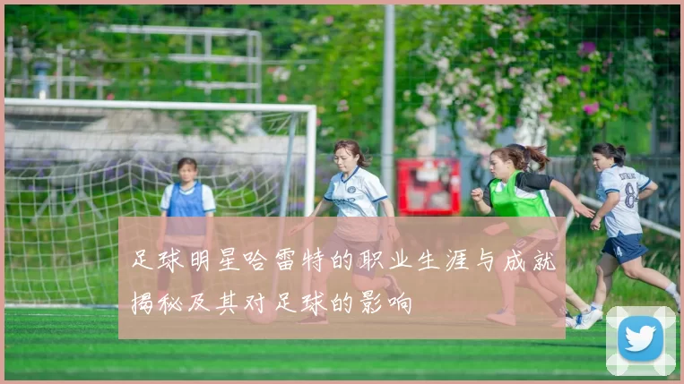 足球明星哈雷特的职业生涯与成就揭秘及其对足球的影响