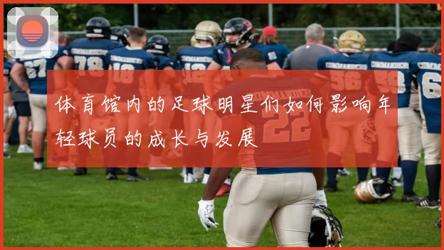 体育馆内的足球明星们如何影响年轻球员的成长与发展