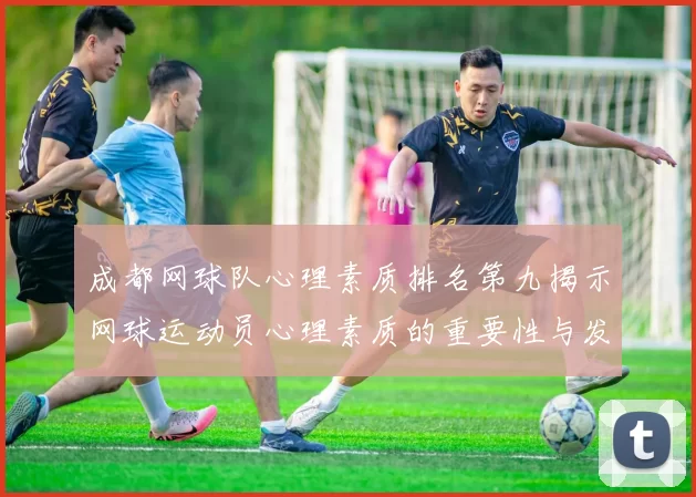 成都网球队心理素质排名第九揭示网球运动员心理素质的重要性与发展潜力