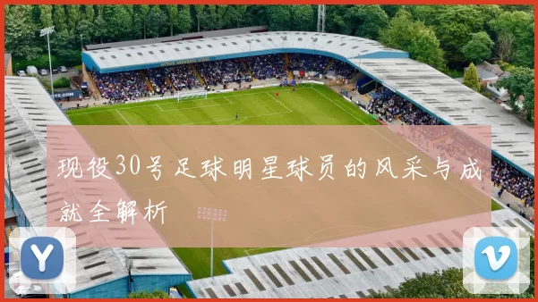 现役30号足球明星球员的风采与成就全解析
