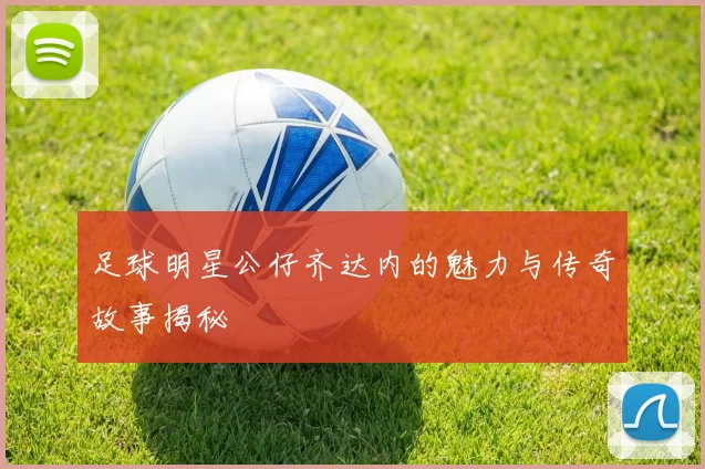 足球明星公仔齐达内的魅力与传奇故事揭秘