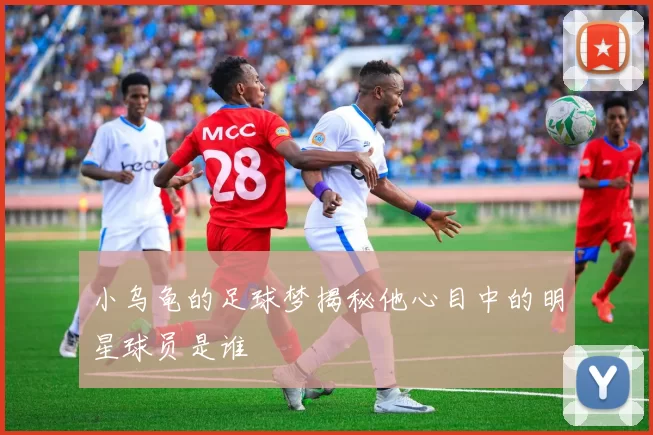 小乌龟的足球梦揭秘他心目中的明星球员是谁