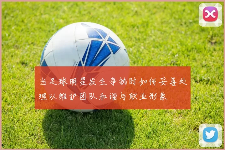 当足球明星发生争执时如何妥善处理以维护团队和谐与职业形象