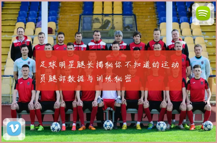 足球明星腿长揭秘你不知道的运动员腿部数据与训练秘密