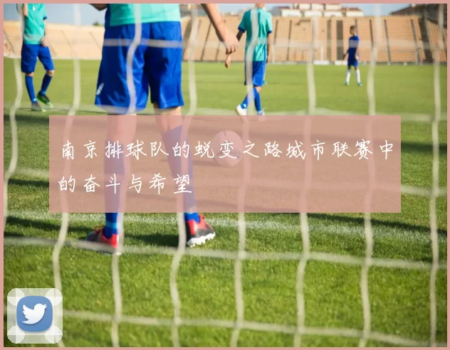 南京排球队的蜕变之路城市联赛中的奋斗与希望
