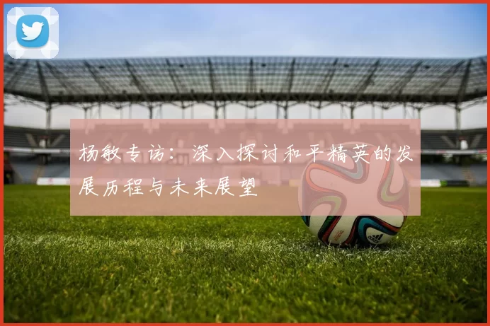杨敏专访：深入探讨和平精英的发展历程与未来展望