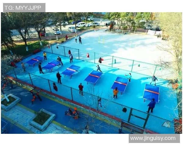 以运动场为核心打造多功能健康生活空间促进社区融合与活力提升