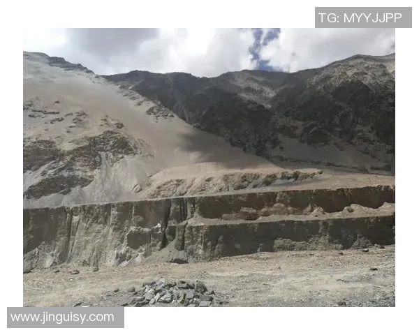 深度对话：张伟在和平精英中的成长与挑战之路