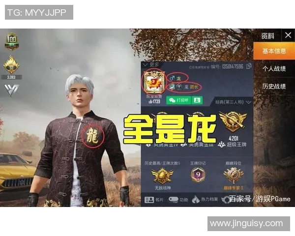 和平精英专题：深入探讨LNG在战术灵活性中的重要作用与应用分析